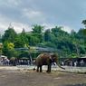 Lembang Park Zoo Tutup Sementara Usai Macan Tutul Lepas dari Kandang