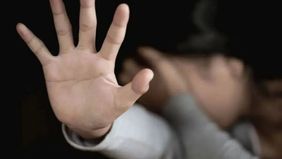 Komisi Perlindungan Anak Indonesia (KPAI) mendesak kepolisian mengusut kemungkinan adanya korban anak lain dalam kasus eksploitasi seksual dengan modus mempekerjakan anak sebagai pemandu lagu atau Lady Companion (LC) di tempat hiburan. 