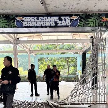 Pemkot Bandung Pertimbangkan Surati Kemenhut untuk Cabut Izin Pengelolaan Bandung Zoo Jika Konflik Berlarut