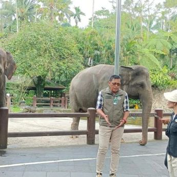 Kemenhut Berlakukan Larangan Nasional Atraksi Gajah Tunggang