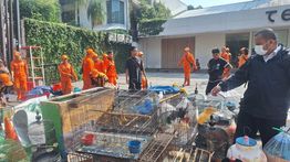 Penampakan Pasar Burung Barito yang Kini Diratakan