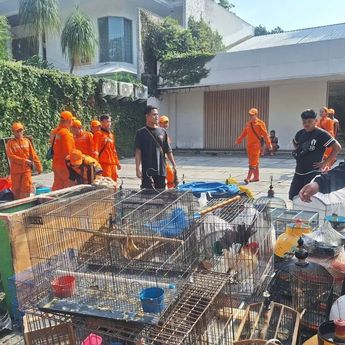 Penampakan Pasar Burung Barito yang Kini Diratakan 
