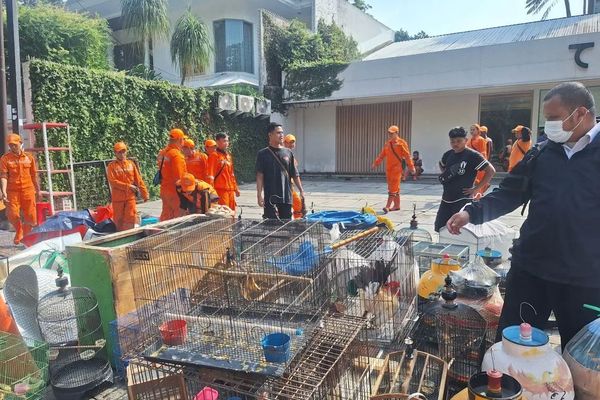 Pedagang Barito mengamankan dagangan mereka imbas kios mereka ditertibkan oleh Pemerintah Kota Administrasi Jakarta Selatan untuk pembangunan Taman Bendera Pusaka, Jakarta, Senin (27/10/2025).