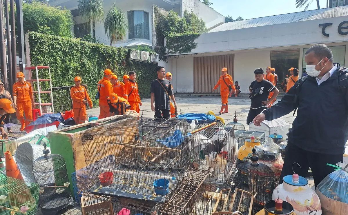 Pedagang Barito mengamankan dagangan mereka imbas kios mereka ditertibkan, Senin (27/10/2025). <b>(ANTARA)</b>
