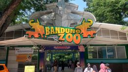 Pemkot Ungkap Bandung Zoo Berpeluang Tutup