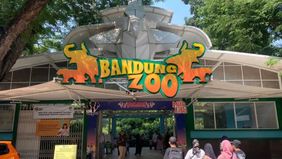 Kericuhan terjadi di Kebun Binatang Bandung (Bandung Zoo), Rabu, 6 Agustus 2025, akibat konflik berkepanjangan antara pihak manajemen lama dan manajemen baru.
