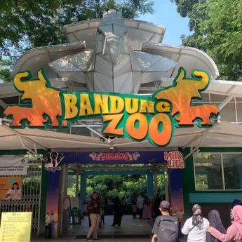 Kericuhan di Bandung Zoo, Dua Manajemen Saling Klaim dan Satwa Terancam Terlantar