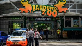 Manajemen baru Yayasan Margasatwa Indonesia (YMT) menyatakan siap mengikuti keputusan Pemerintah Kota Bandung untuk mencabut izin pengelolaan Kebun Binatang Bandung atau Bandung Zoo.