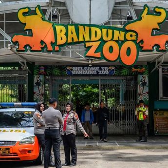 Bandung Zoo Terancam Dicabut Izinnya, YMT: Kami Hormati Keputusan Pemerintah