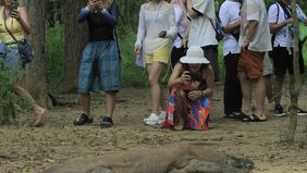 Kementerian Kehutanan (Kemenhut) akan memperketat sistem pembatasan jumlah wisatawan yang berkunjung ke Pulau Padar, yang merupakan bagian dari kawasan Taman Nasional (TN) Komodo di Nusa Tenggara Timur.