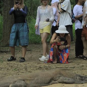 Kemenhut Perketat Kuota Wisatawan ke Pulau Padar, TN Komodo
