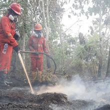 Karhutla di Nabire Meluas, 396,13 Hektare Lahan Terbakar