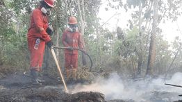 BMKG Catat 1.923 Titik Panas di Papua Tengah, Nabire Terbanyak