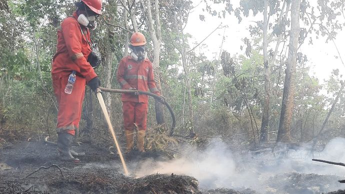 Upaya pemadaman Karhutla di Kabupaten Nabire, Sabtu, 22 Agustus 2026.