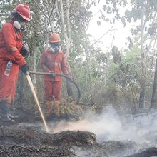 Kalteng Catat 66.679 Kasus ISPA di Tengah Dampak Karhutla