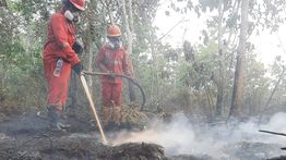 Atasi Karhutla Kalimantan, Modifikasi Cuaca Terus Dioptimalkan