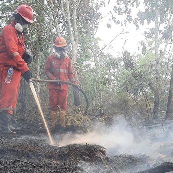 Kalteng Catat 66.679 Kasus ISPA di Tengah Dampak Karhutla