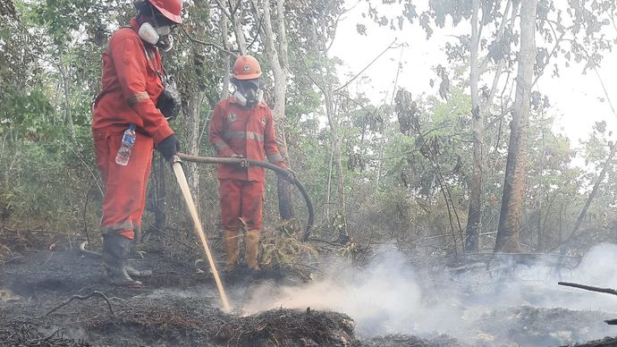 Atasi Karhutla Kalimantan, Modifikasi Cuaca Terus Dioptimalkan.