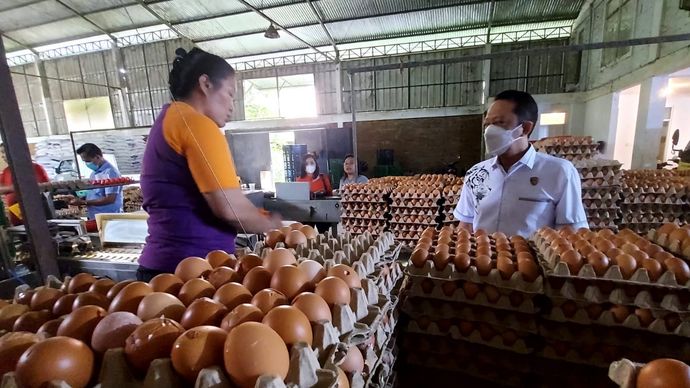 Kementerian Pertanian (Kementan) menyampaikan harga telur tetap stabil dengan stok yang terjaga, bahkan melimpah di tengah fenomena eggflation yang meada berbagai negara. 