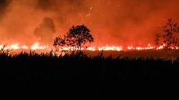 Kasus Karhutla di Kalteng: 23 Orang Resmi Ditetapkan Sebagai Tersangka