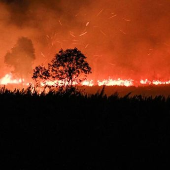 Kasus Karhutla di Kalteng: 23 Orang Resmi Ditetapkan Sebagai Tersangka
