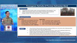 Pemerintah Optimalkan Potensi Hujan untuk Tangani Karhutla di Kalimantan - Sumatera