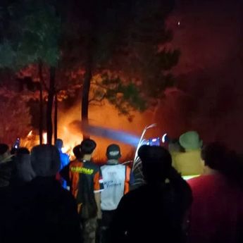 Api di Gunung Soputan Kian Membesar, 300 Hektare Hutan Lindung Hangus