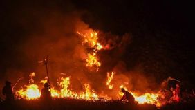 Keputusan penutupan total akses wisata di kawasan taman nasional akibat kebakaran hutan dan lahan (karhutla) dipastikan bersifat kondisional.