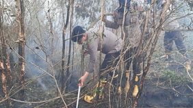 Tim Siaga Karhutla Satuan Brimob Polda Kalimantan Selatan melancarkan teknik suntik gambut guna memadamkan kebakaran lahan yang merebak di sekitar Bandara Internasional Syamsudin Noor. 