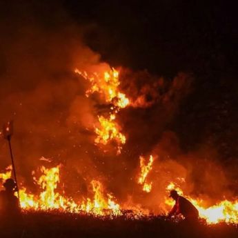 Bromo Ditutup Total, Kemenhut Sebut Akses Taman Nasional Lain Tergantung Ancaman Api