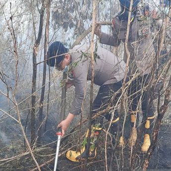 Padamkan Api di Bawah Tanah, Brimob Kalsel Pakai Teknik Suntik Gambut