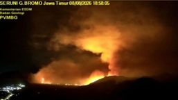 Api Makin Meluas! Kemenhut Ambil Langkah Tegas Tutup Total Akses Wisata Bromo