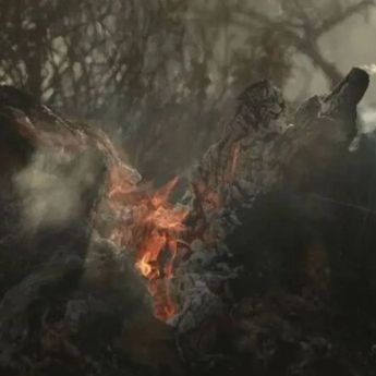 Rekor Terburuk! 116 Ribu Hektare Hutan Hangus, Prancis Ringkus 162 Tersangka Pembakar
