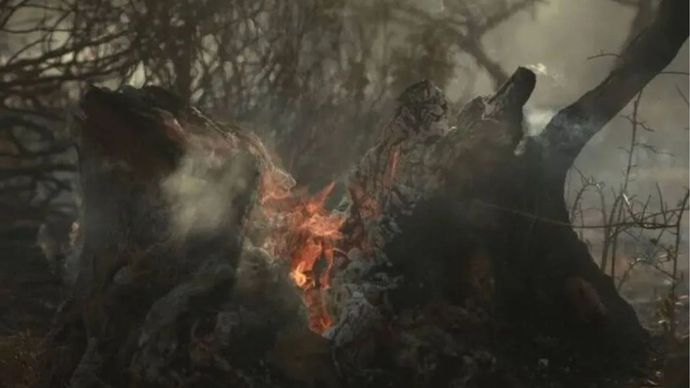 Bara api di sebuah pohon yang terbakar dari area yang terdampak kebakaran hutan saat petugas pemadam kebakaran terus berupaya mengendalikan kobaran api di dekat kota Cotignac di Prancis selatan, pada 23 Juli 2026.