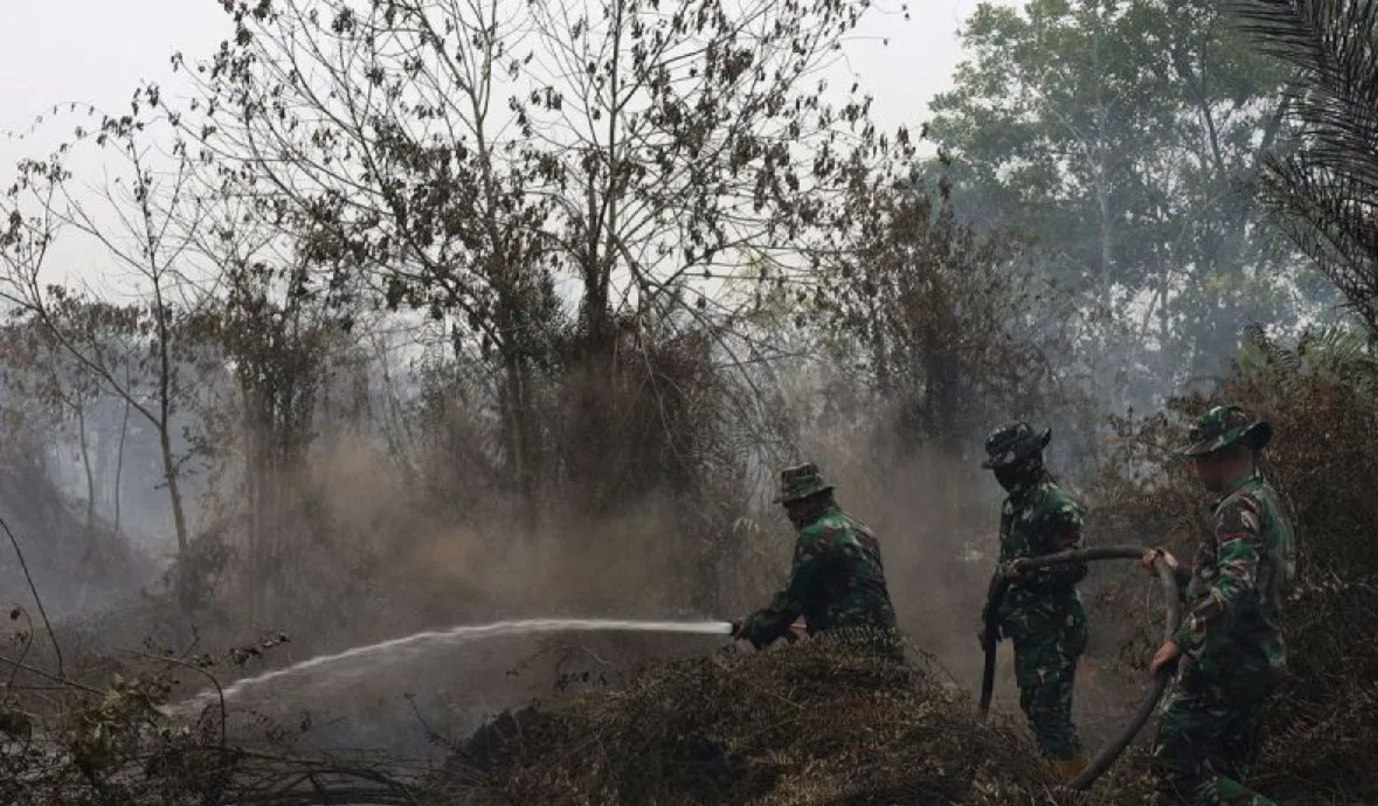 Personel Yonif TP 882/Hulubalang melakukan pembasahan untuk mencegah api kembali menyala di lokasi kebakaran lahan gambut di Desa Arang Limbung, Kecamatan Sungai Raya, Kabupaten Kubu Raya, Kalimantan Barat, Minggu (23/8/2026). BNPB mencatat luas laha <b>(Antara)</b>
