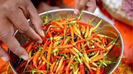 BPS Sebut Harga Cabai Rawit Merangkak Naik hingga Rp73 Ribu per Kilogram