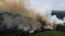 32 Perusahaan Disanksi Kemenhut Terkait Krahutla, 5 di Antaranya Dicabut Izin Operasional