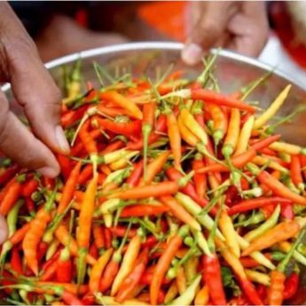 BPS Sebut Harga Cabai Rawit Merangkak Naik hingga Rp73 Ribu per Kilogram