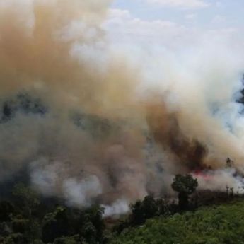 32 Perusahaan Disanksi Kemenhut Terkait Krahutla, 5 di Antaranya Dicabut Izin Operasional