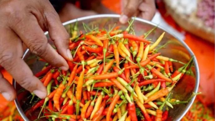 Seorang pedagang menimbang cabai rawit pesanan pembeli di Pasar Dungingi, Kota Gorontalo, Gorontalo. 