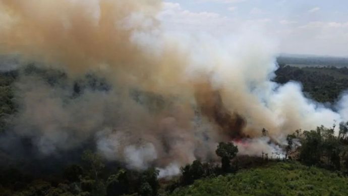 Kebakaran hutan dan lahan yang terjadi di Kecamatan Sungai Raya 
