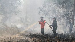 Cek Fakta: Benarkah Malaysia Melaporkan Indonesia ke PBB Terkait Asap Karhutla?