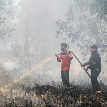 Cek Fakta: Benarkah Malaysia Melaporkan Indonesia ke PBB Terkait Asap Karhutla?