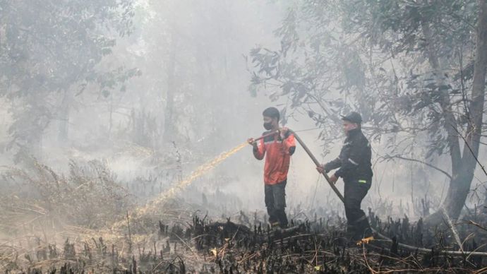 Arsip - Petugas melakukan pemadamakan kebakaran lahan di Kota Palangka Raya.