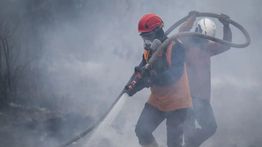 Kebakaran Lahan Gambut di 6 Provinsi, BNPB Padamkan 71.274 Hektare