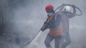 Badan Nasional Penanggulangan Bencana (BNPB) mencatat kebakaran hutan dan lahan (karhutla) telah melanda 72.008 hektare lahan gambut di enam provinsi.