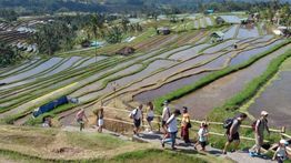 Catat Rekor, Menpar Sebut Sektor Pariwisata Serap 25,91 Juta Pekerja pada 2025