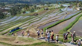 Menteri Pariwisata Widiyanti Putri Wardhana memaparkan bahwa sektor pariwisata nasional sukses menyerap sebanyak 25,91 juta tenaga kerja sepanjang tahun 2025 lalu.