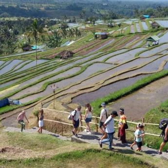Catat Rekor, Menpar Sebut Sektor Pariwisata Serap 25,91 Juta Pekerja pada 2025