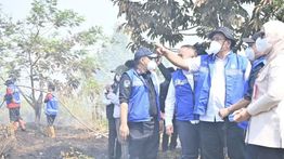 Menteri LH Minta Pembakar Lahan Ditindak Tegas Tanpa Kompromi